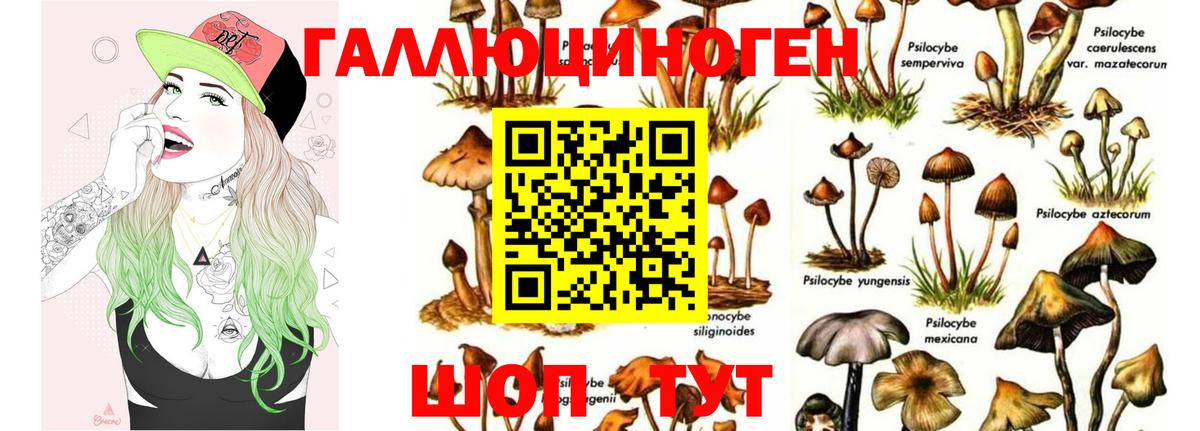 Галлюциногенные грибы MAGIC MUSHROOMS  Галлюциногенные грибы Psilocybine cubensis  как найти   Гурьевск  Вход с VPN 